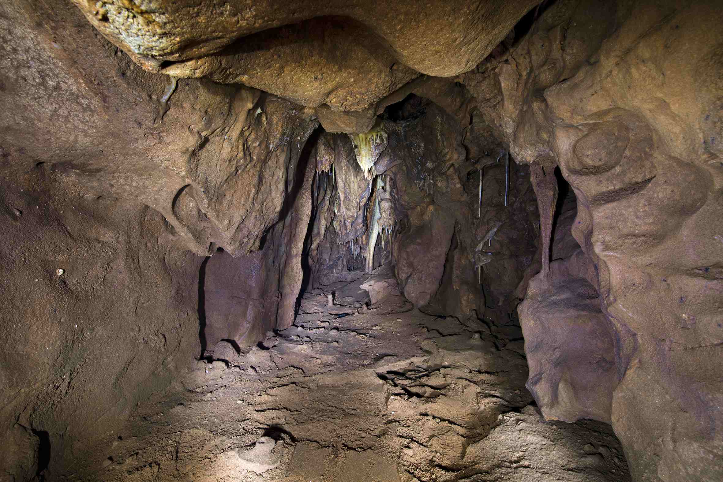 Az Vanguard-barlang, a Gorham-barlangkomplexum része.