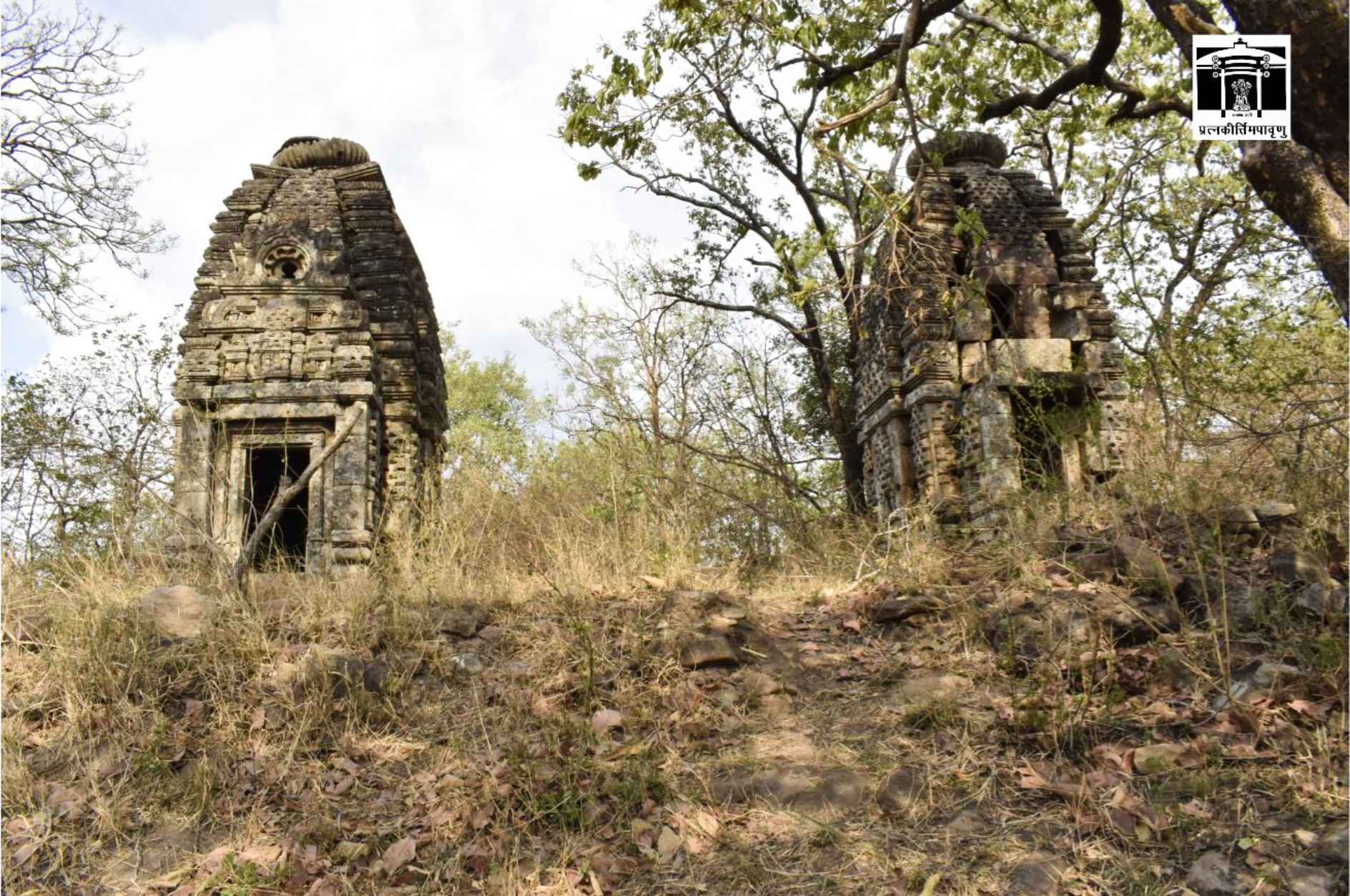 Μια εικόνα δύο ναών που τραβήχτηκε από την Αρχαιολογική Υπηρεσία της Ινδίας.