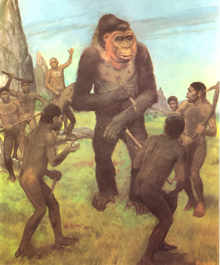 Gigantopithecus: Bigfoot'un mübahisəli tarixdən əvvəlki sübutu! 4