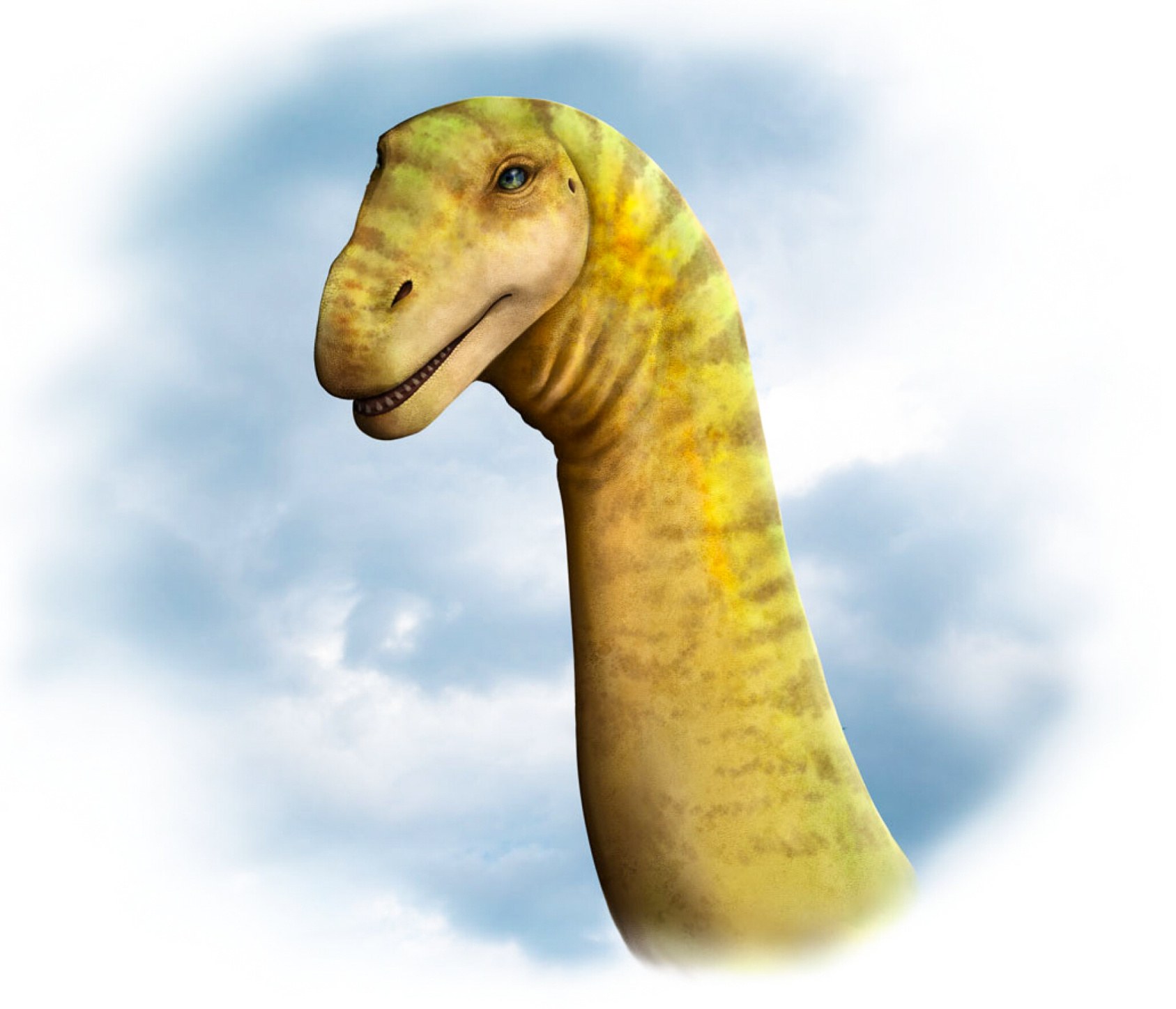 Визуелизација на уметникот на главата на Diamantinasaurus matildae.