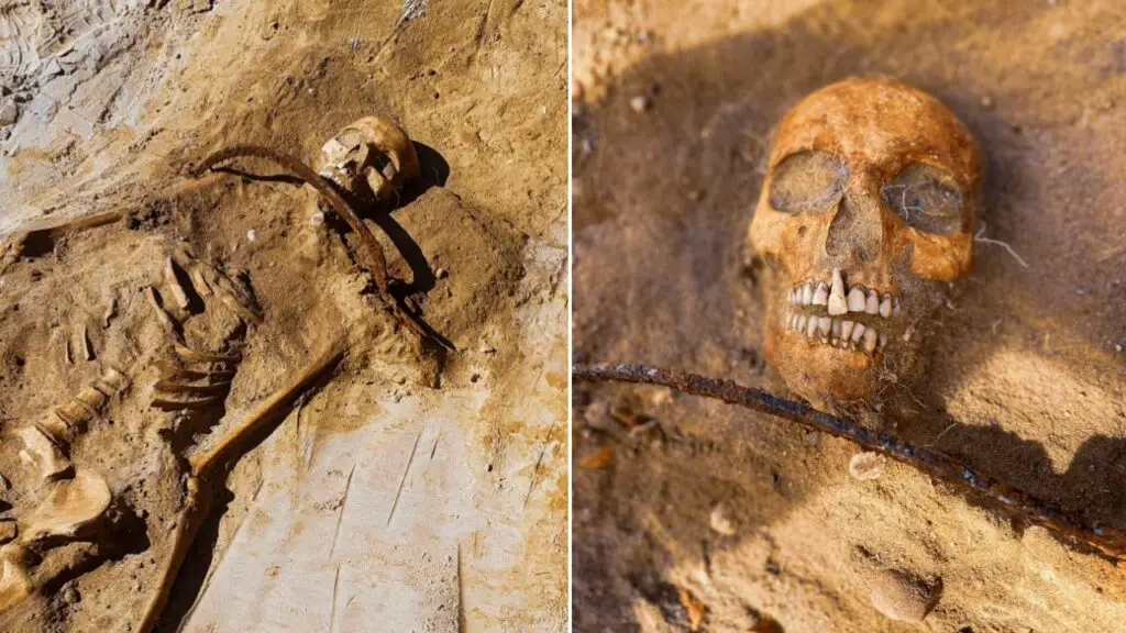 17th-century 'vampire' skeleton was found pinned to the ground with a sickle around the neck 9