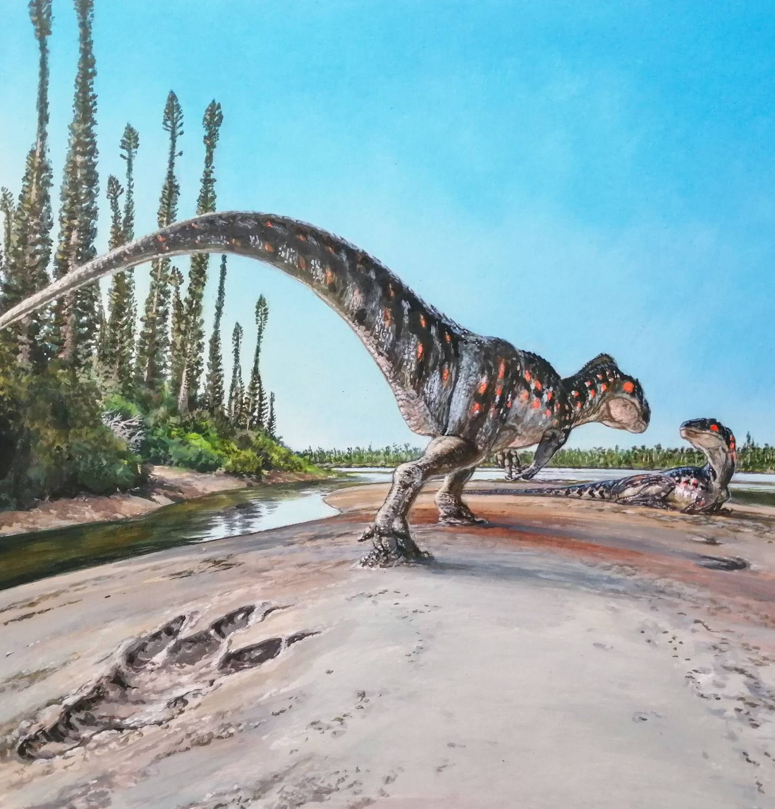 Оваа илустрација покажува мегалосаурус, диносуарот за кој се верува дека оставил отпечаток зад себе.
