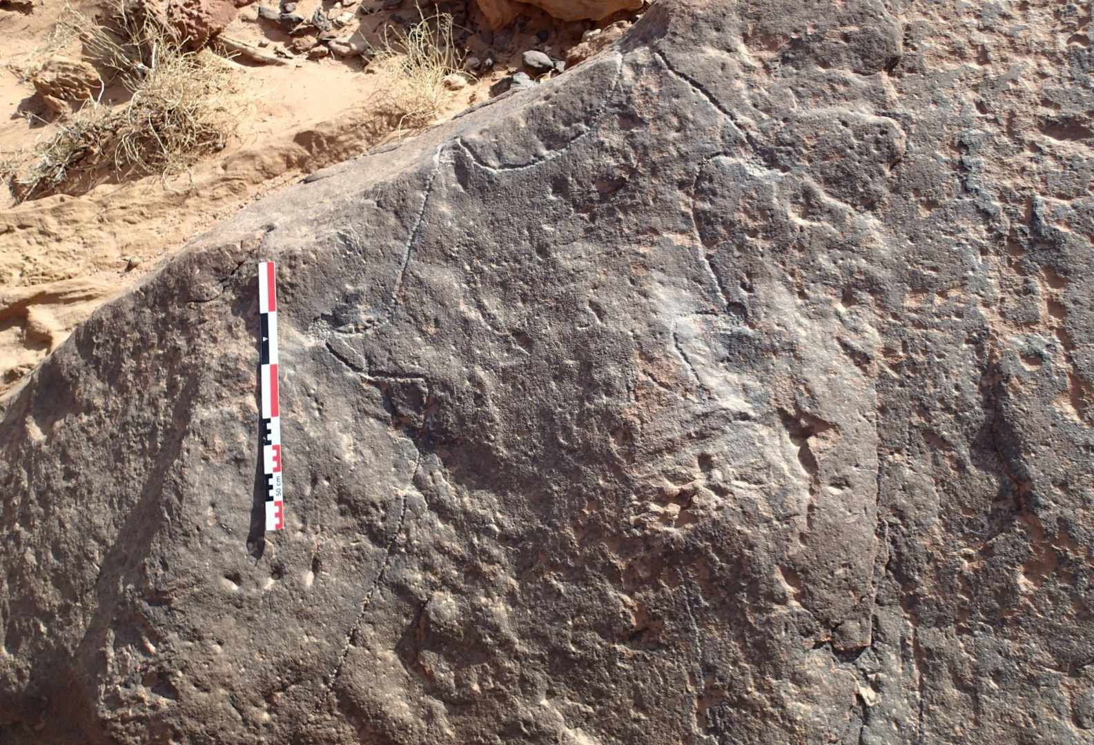 Ukiran batu umur 8,000 taun di Arab tiasa janten cetak biru struktur mega pangkolotna di dunya 5