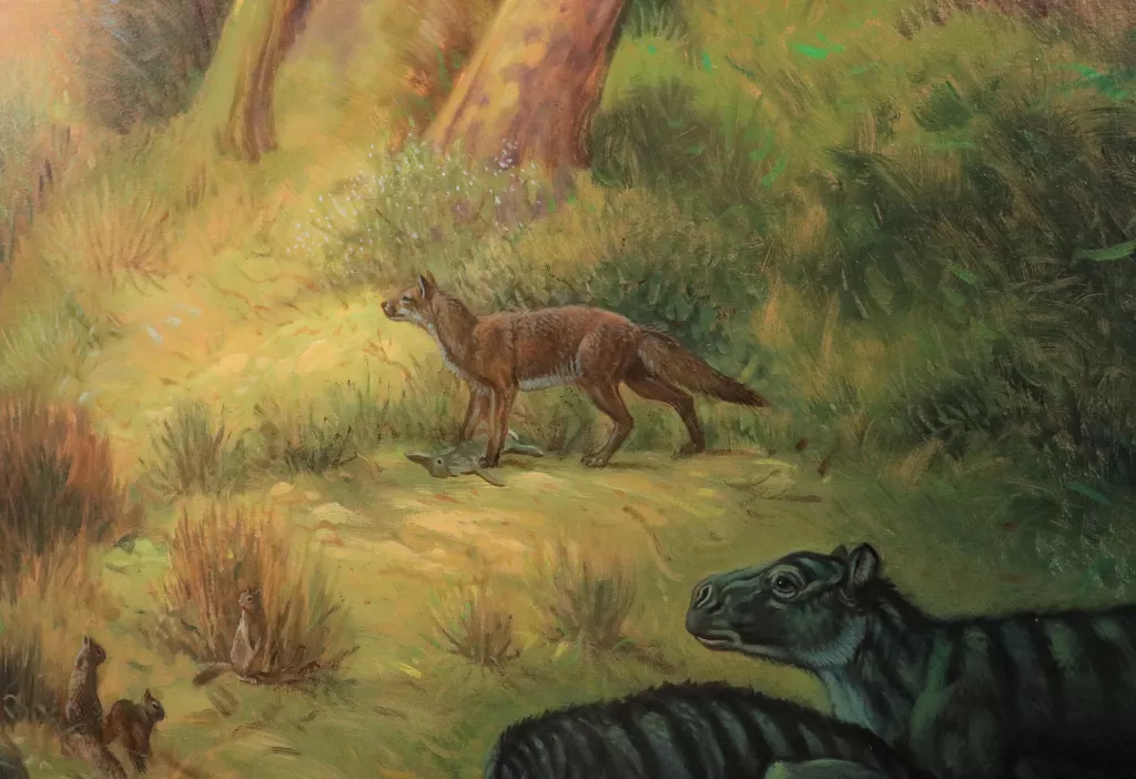Raro fossile di antiche specie canine scoperto dai paleontologi 4