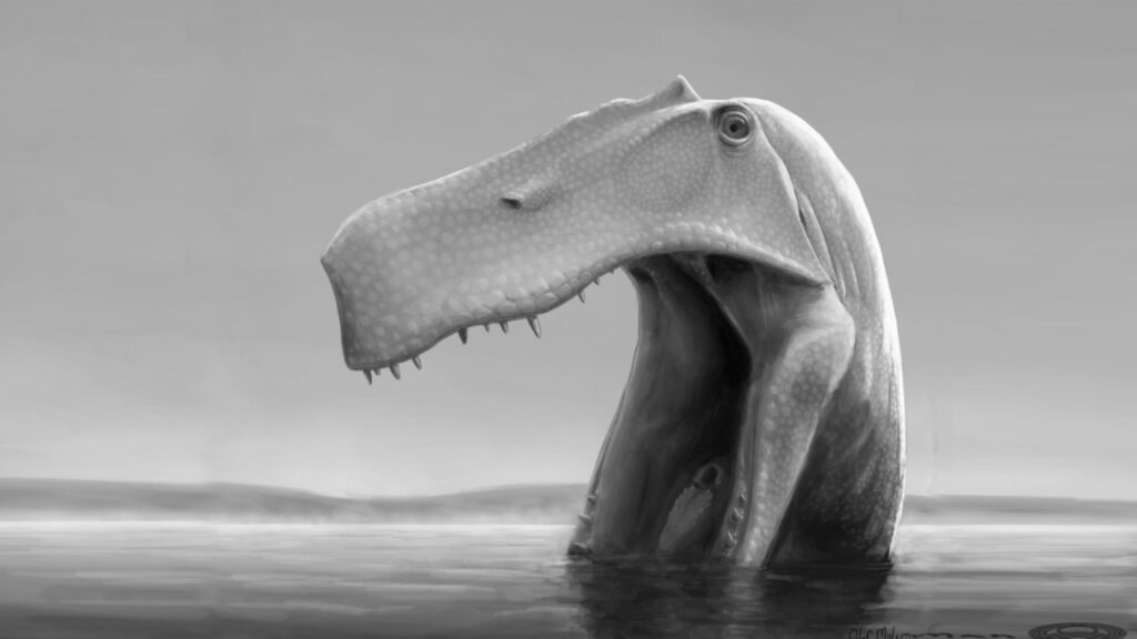 Dinosaurus predator ti Brazil sareng anatomina héran 7