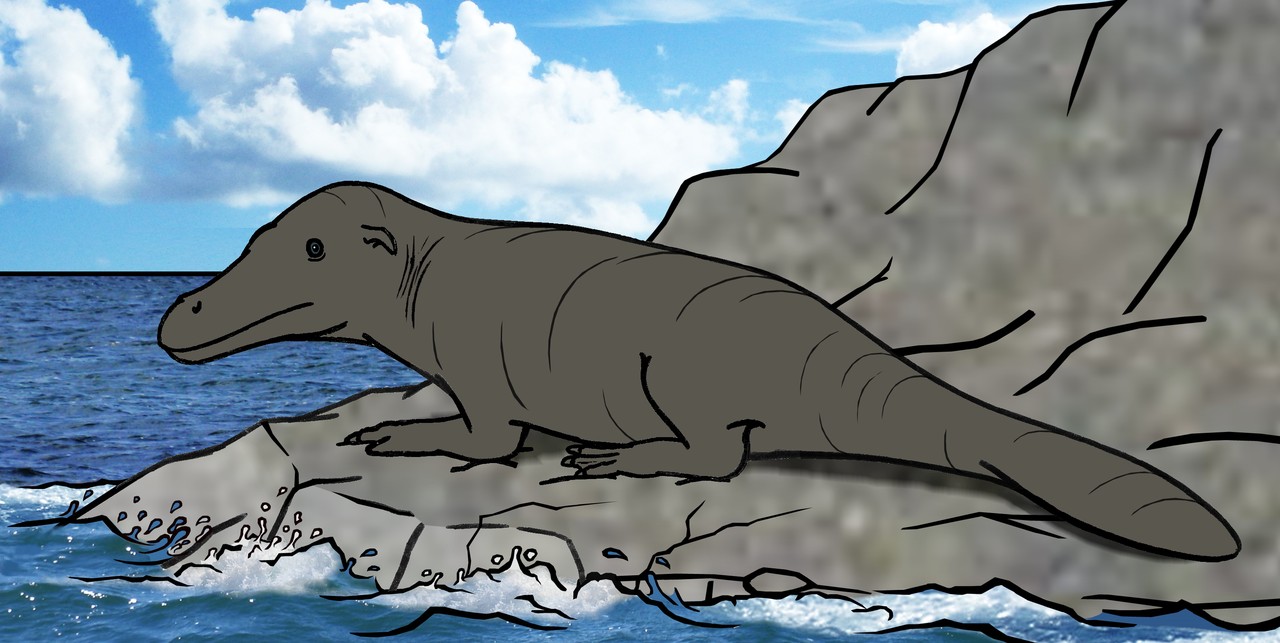 Zakale za miyendo inayi za prehistoric whale zokhala ndi mapazi amtundu wopezeka ku Peru 3