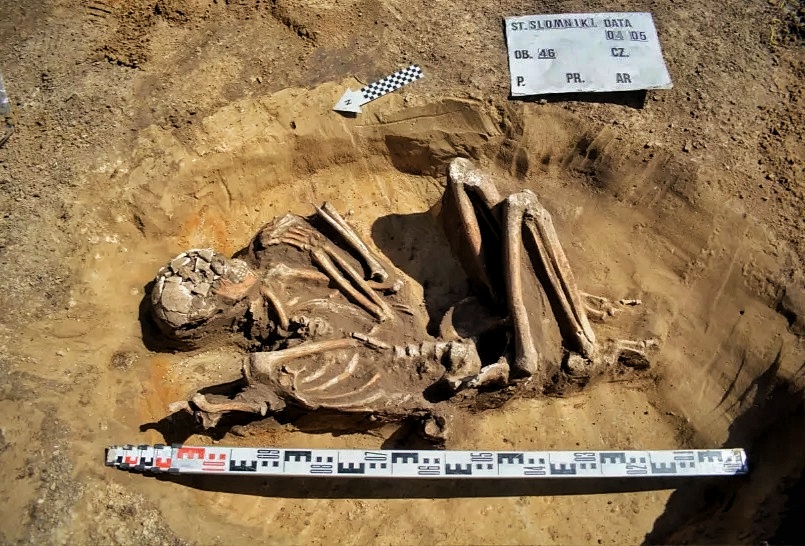 Et velbevaret 7,000 år gammelt skelet gravet frem under renovering i Polen 1