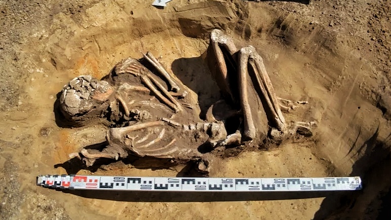 A well-preserved 7,000-year-old skeleton unearthed during renovation in Poland 2