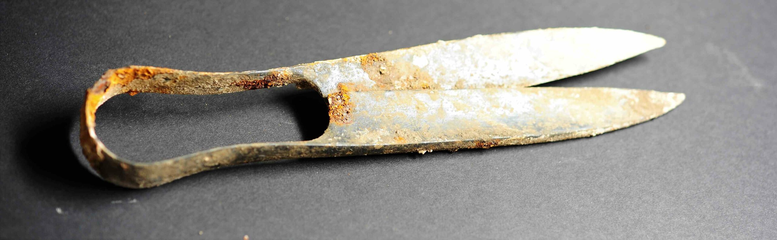 Forbici di 2,300 anni e una spada "ripiegata" scoperte in una tomba a cremazione celtica in Germania 2