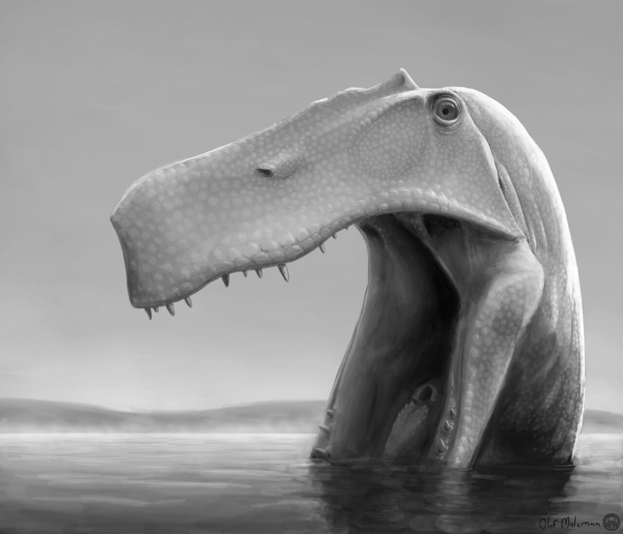Brazília v ranej kriede, pred 115 rokmi: dravý dinosaurus Irritator challengeri hľadá v plytkej vode s roztiahnutými spodnými čeľusťami malú korisť vrátane rýb.