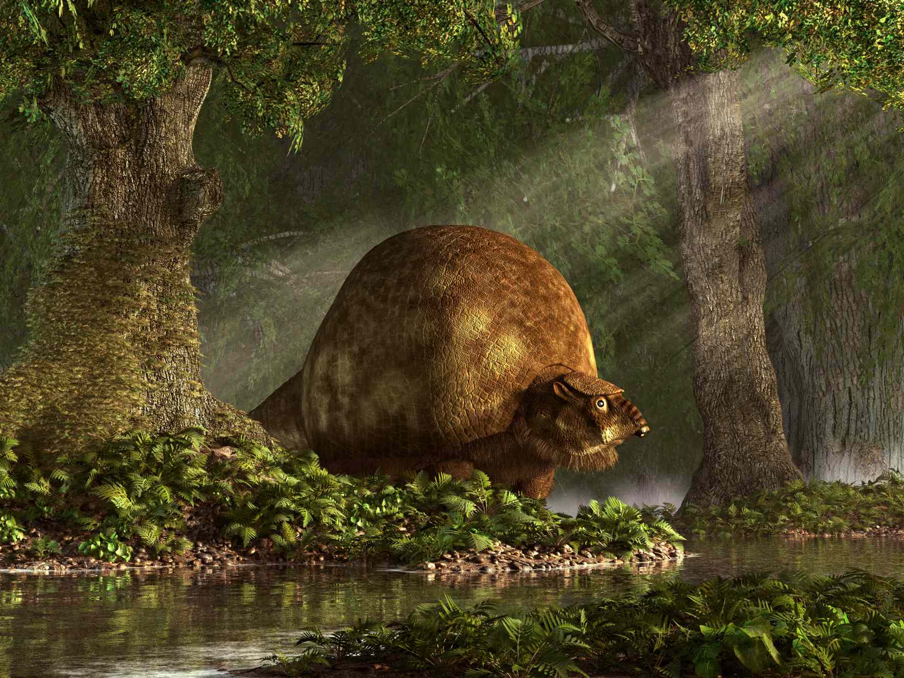 I primi umani americani cacciavano armadilli giganti e vivevano all'interno dei loro gusci 1