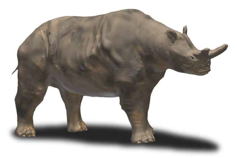 "Anụ ọhịa égbè eluigwe" dị ka Rhino toro oke na nhụsianya evolushọn nke anya mgbe dinosaur nwụsịrị 2