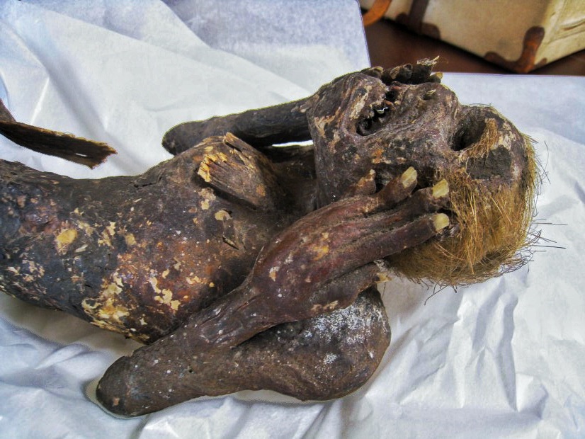 O mumie „sirenă” bântuită descoperită în Japonia este chiar mai ciudată decât se așteptau oamenii de știință 1