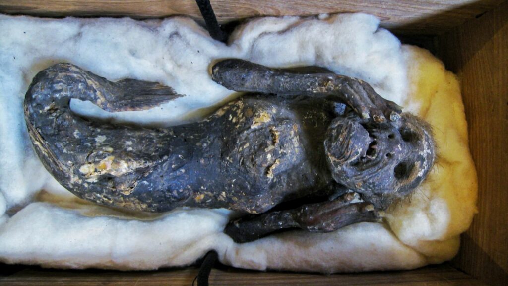 Виявлена ​​в Японії мумія «русалки», яка переслідує людей, виявилася ще дивнішою, ніж очікували вчені 8