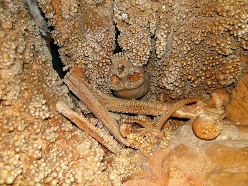 "Altamura cilvēks", kurš pirms 150,000 1 gadu nokrita pa iegremdēšanu, nomira badā un "saplūda" ar tā sienām XNUMX