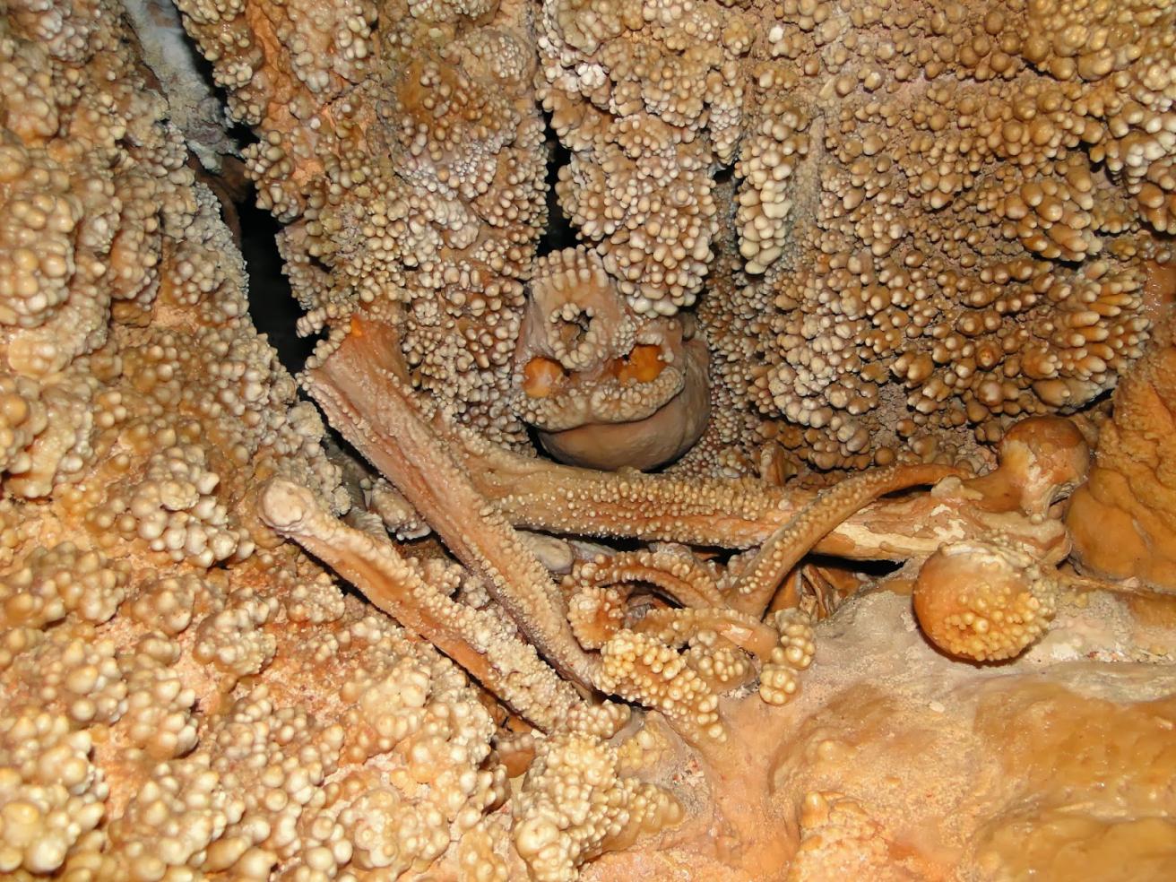 "Altamura Man" ที่ตกลงไปในหลุมยุบเมื่อ 150,000 ปีที่แล้วอดตายและ "หลอมรวม" กับผนังของมัน 1