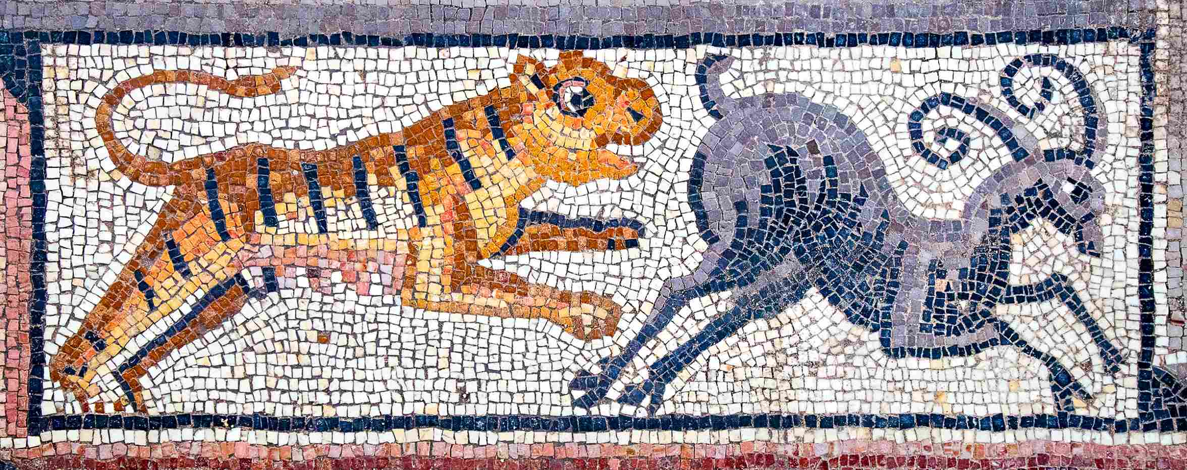 Scène frontalière d'un tigre chassant un bouquetin - extrait de la mosaïque d'inscriptions de la synagogue Huqoq, juin 2023.