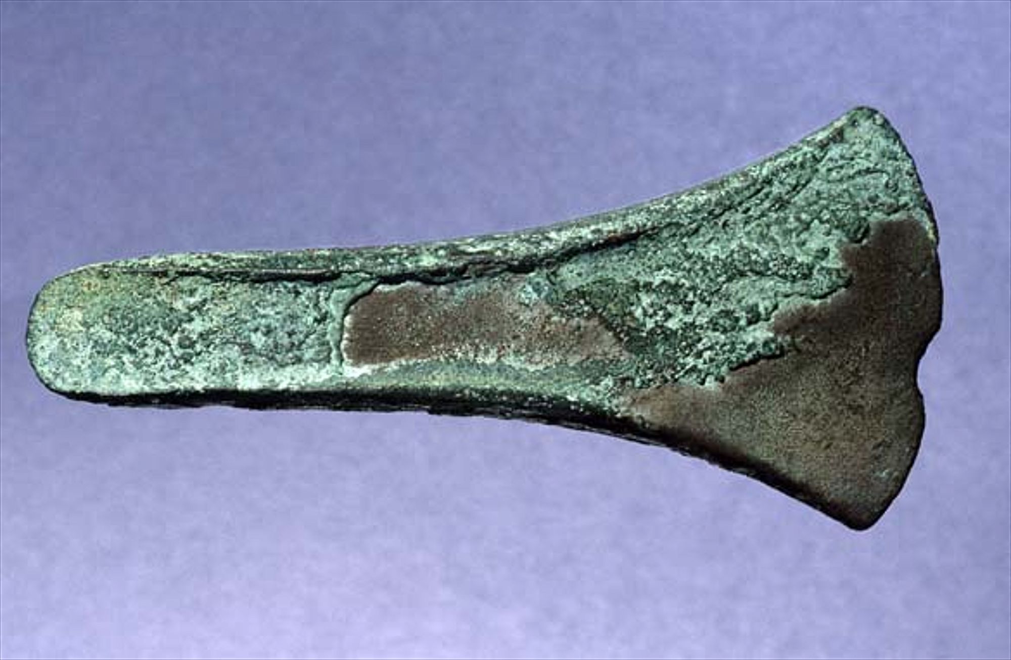 Grot topora z brązu, podobny do tych, które prawdopodobnie zostały użyte w konstrukcji Seahenge.