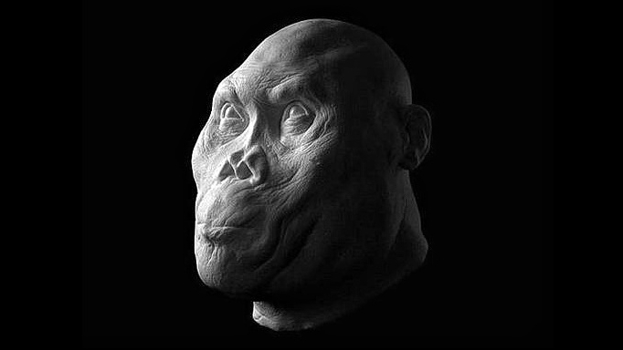 Ansigterne på gamle hominider bragte til live i bemærkelsesværdige detaljer 2