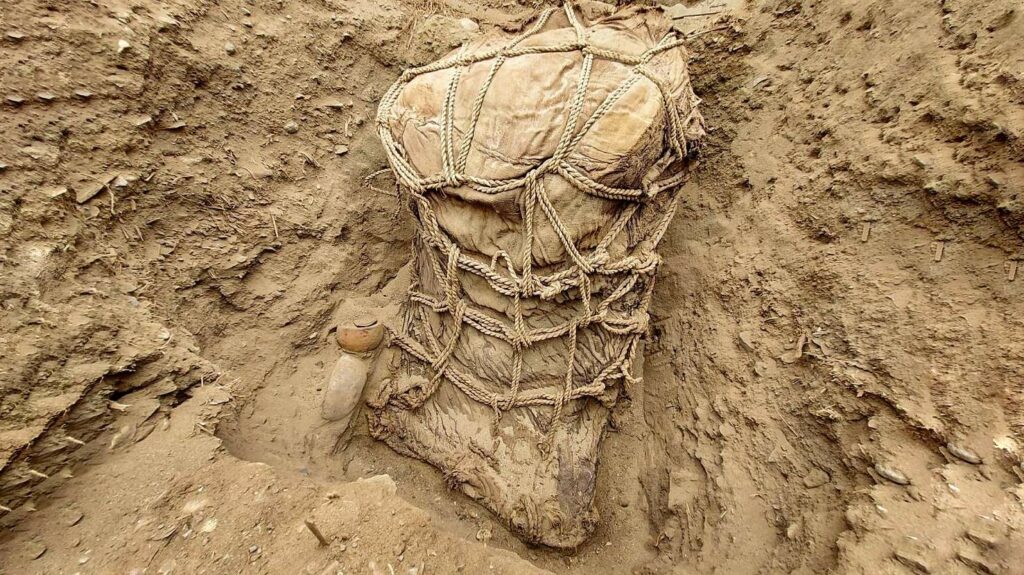 Tomb from the Ichma Culture found in Peru 6