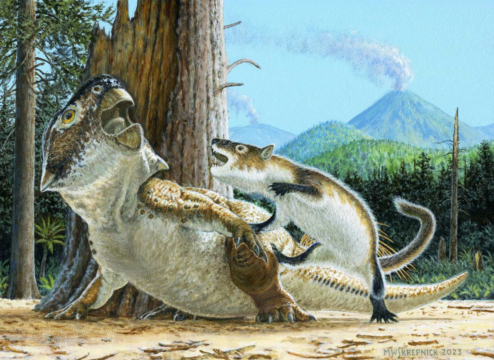Ongebruikelijk fossiel toont zeldzaam bewijs van een zoogdier dat een dinosaurus aanvalt 2