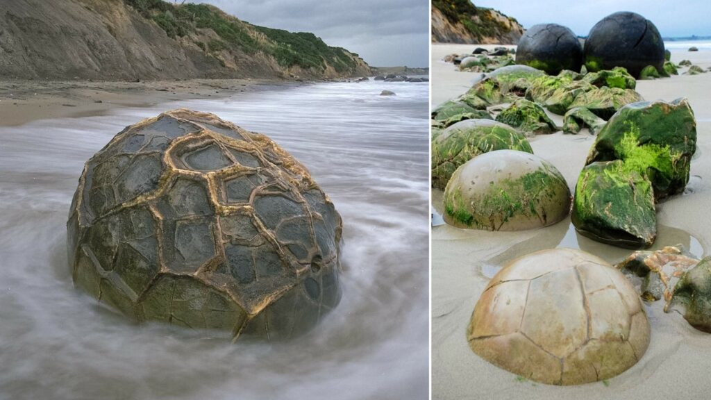 Moeraki Stone Spheres: meraviglie enigmatiche sulla spiaggia di Koekohe, Nuova Zelanda 6
