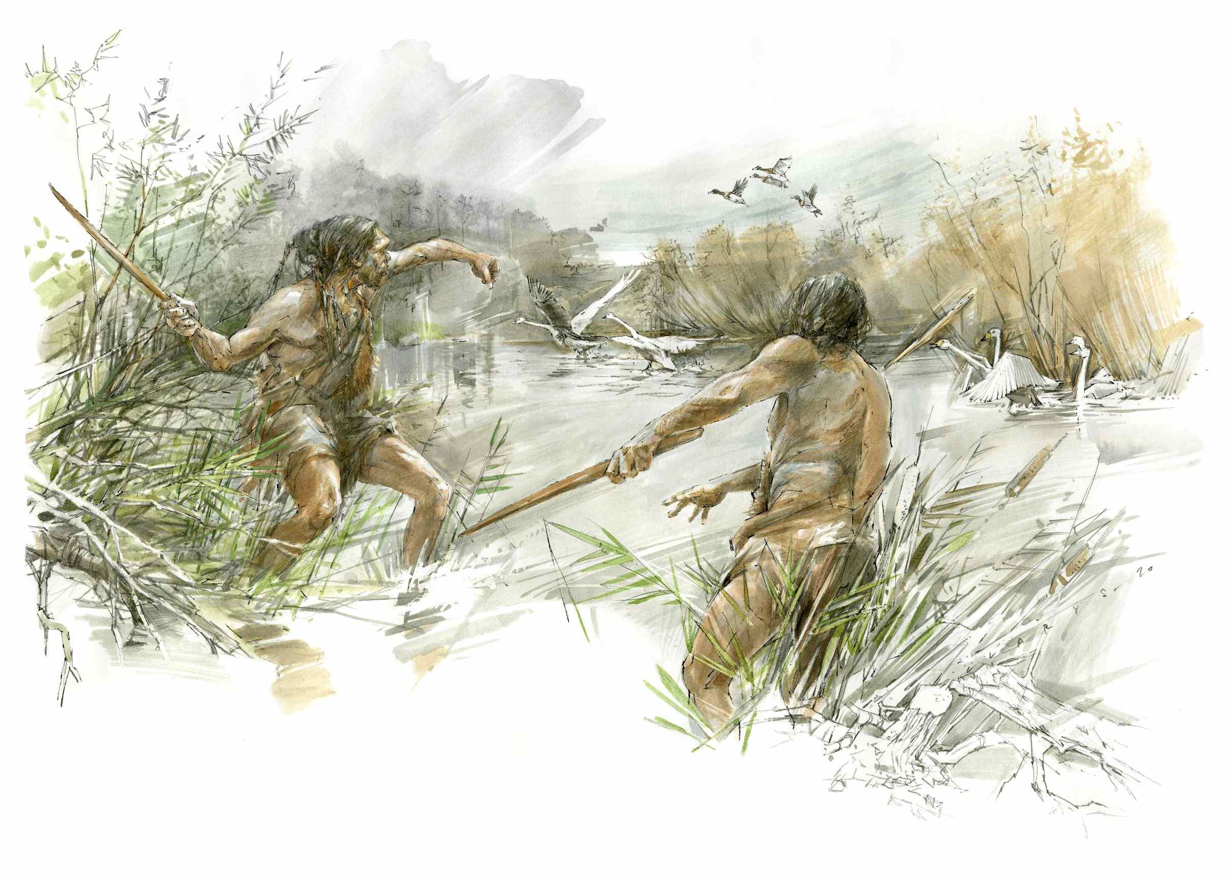 Копья Шёнинген возрастом 300,000 1 лет показывают доисторическую передовую деревообработку XNUMX