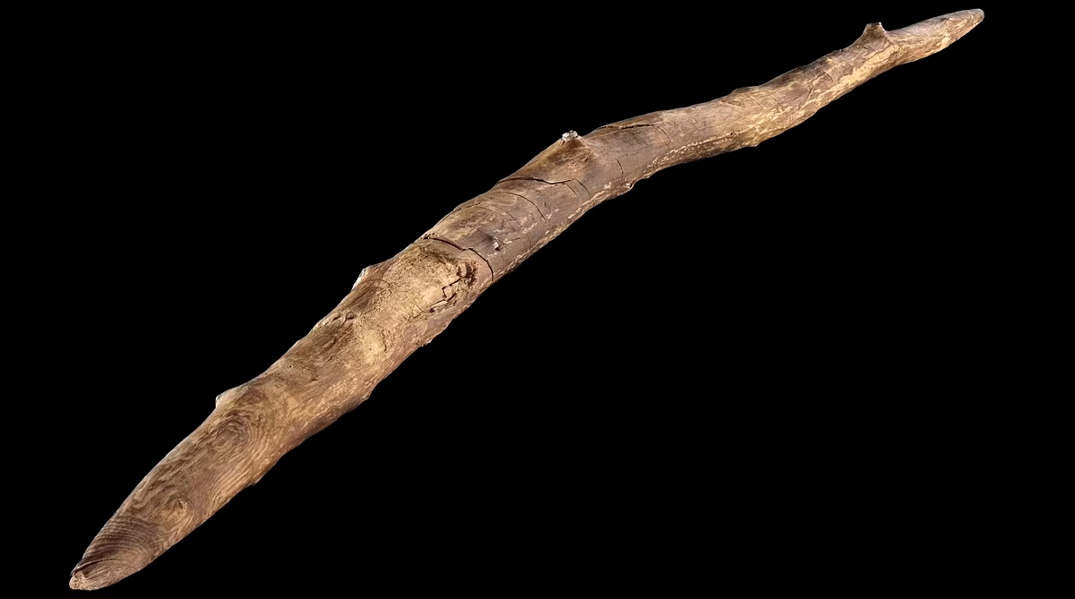 300,000 Joer al Schöningen Speer verroden Prehistoresch fortgeschratt Holzaarbecht 2
