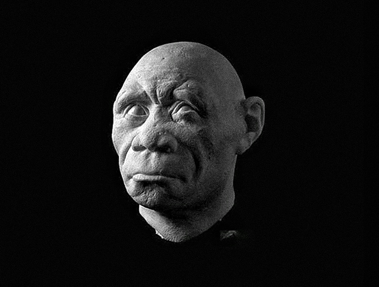 Ansigterne på gamle hominider bragte til live i bemærkelsesværdige detaljer 11