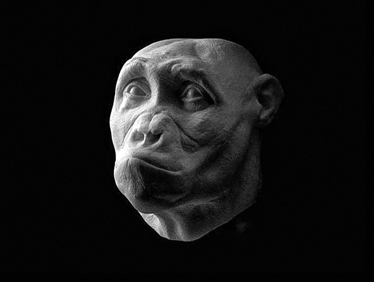Les visages d'anciens hominidés prennent vie avec des détails remarquables 2