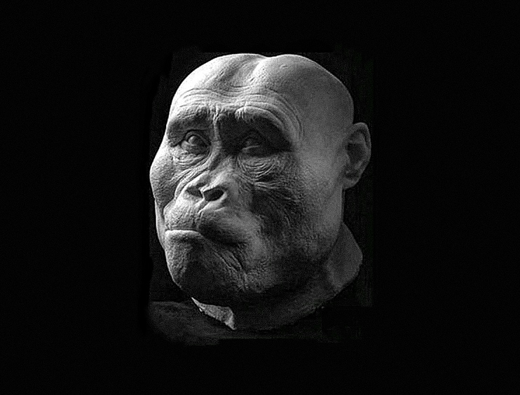 Wajah-wajah hominid purba dihidupkan secara terperinci 3