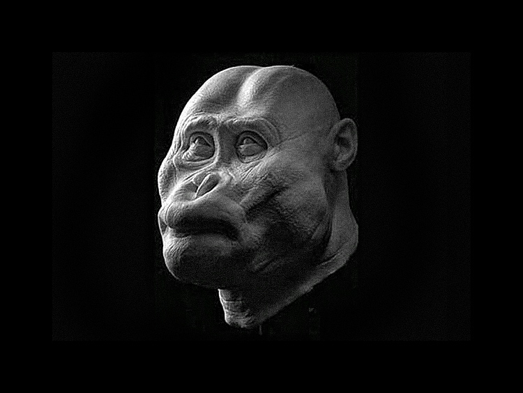 Iidsete hominiidide näod äratati ellu tähelepanuväärselt detailselt 5