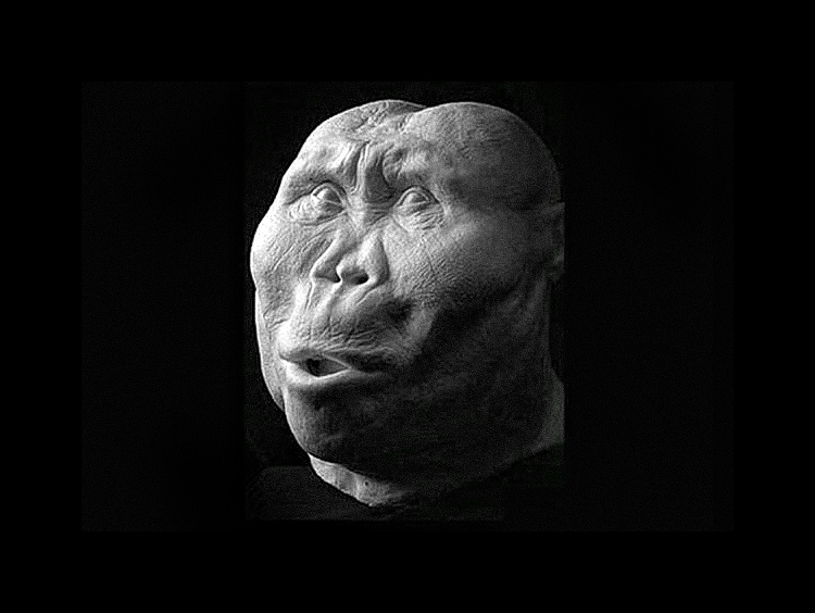 Twarze starożytnych hominidów ożywione w niezwykłych szczegółach 6
