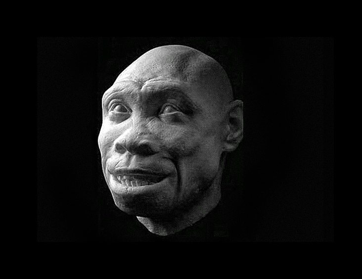 Tváře starověkých hominidů oživily v pozoruhodných detailech 8