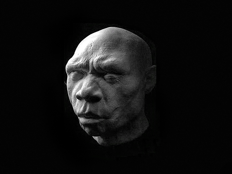 Wajah-wajah hominid purba dihidupkan secara terperinci 9