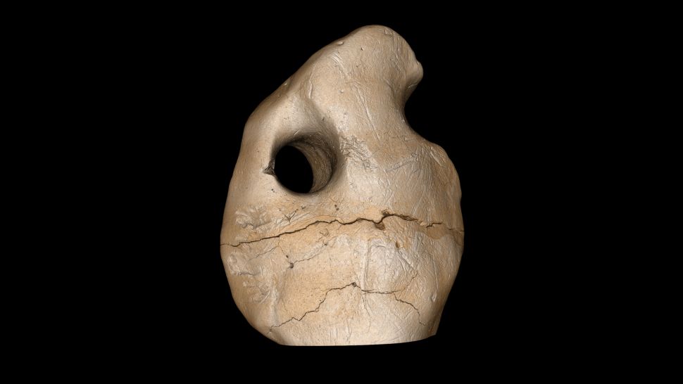 Mennesker var i Sydamerika for mindst 25,000 år siden, gamle knoglevedhæng afslører 4