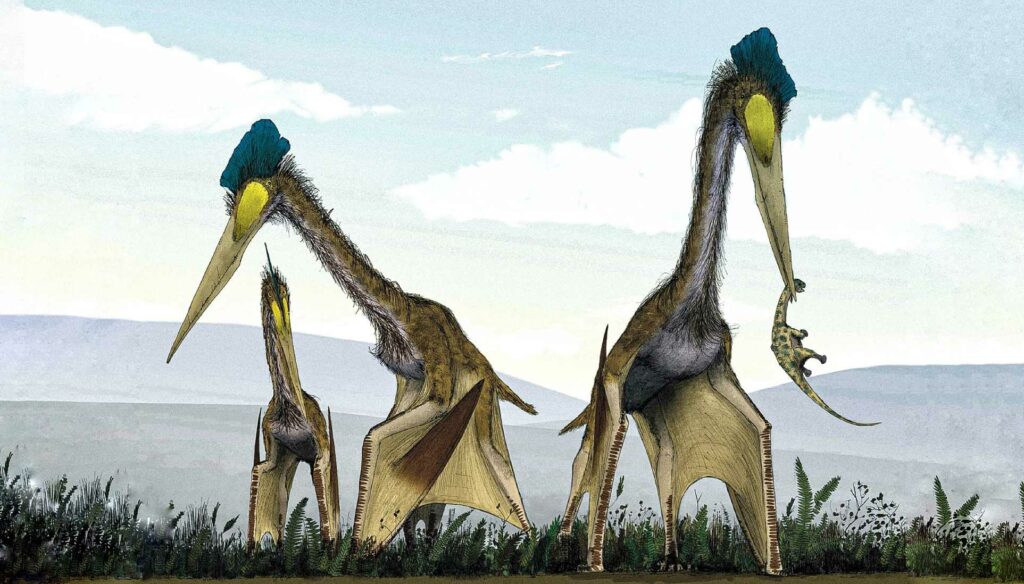 Quetzalcoatlus: Earth's largest flying creature with a 40-foot wingspan 2