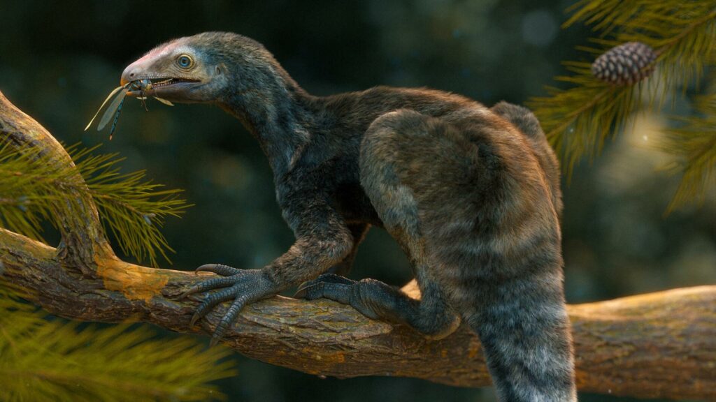Trias mənzərəsində Venetoraptor gassenae-nin rəssamın şərhi.