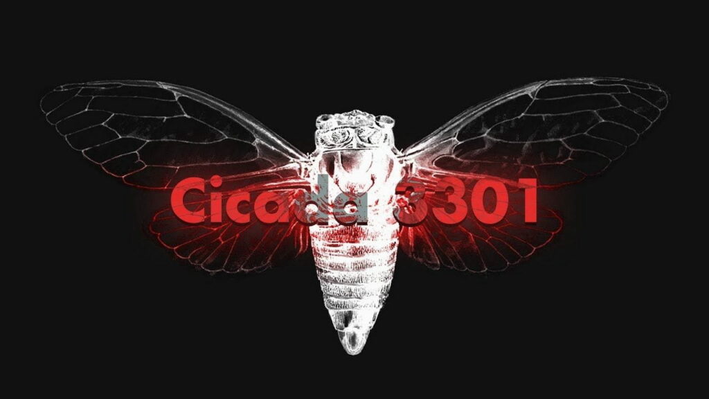 Cicada 3301: Chinsinsi chodabwitsa cha intaneti yakuda 3
