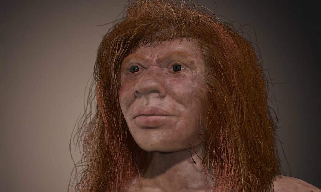 Denny, a mysterious child from 90,000 years ago, whose parents were two different human species 3