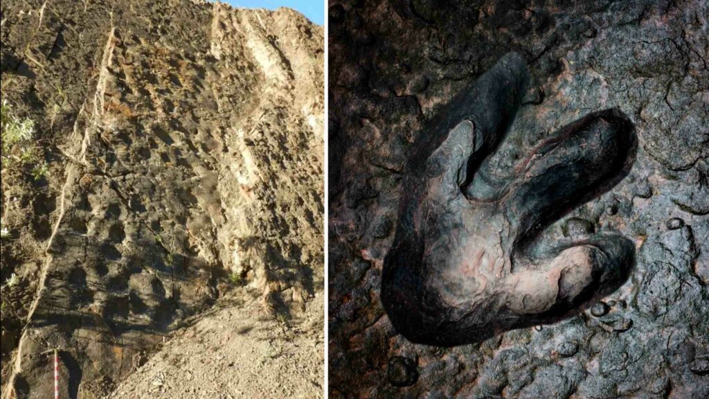 “競技場”：阿拉斯加發現了 70 萬年前的巨型恐龍足跡 7