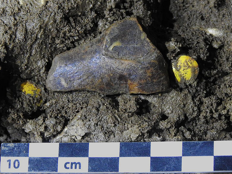 Hohle Fels 2022 – fragment figurky v místě nálezu.