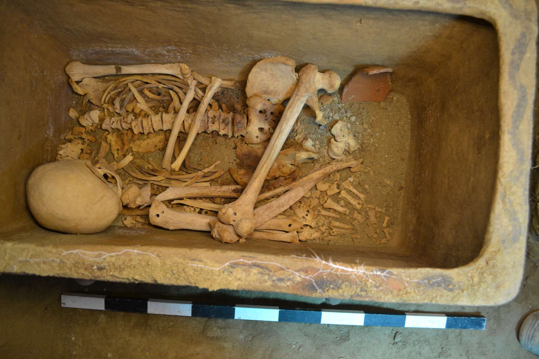 Griekse boer ontdekt onverwachts 3,400 jaar oude grafkamer verborgen onder zijn olijfboomgaard 2