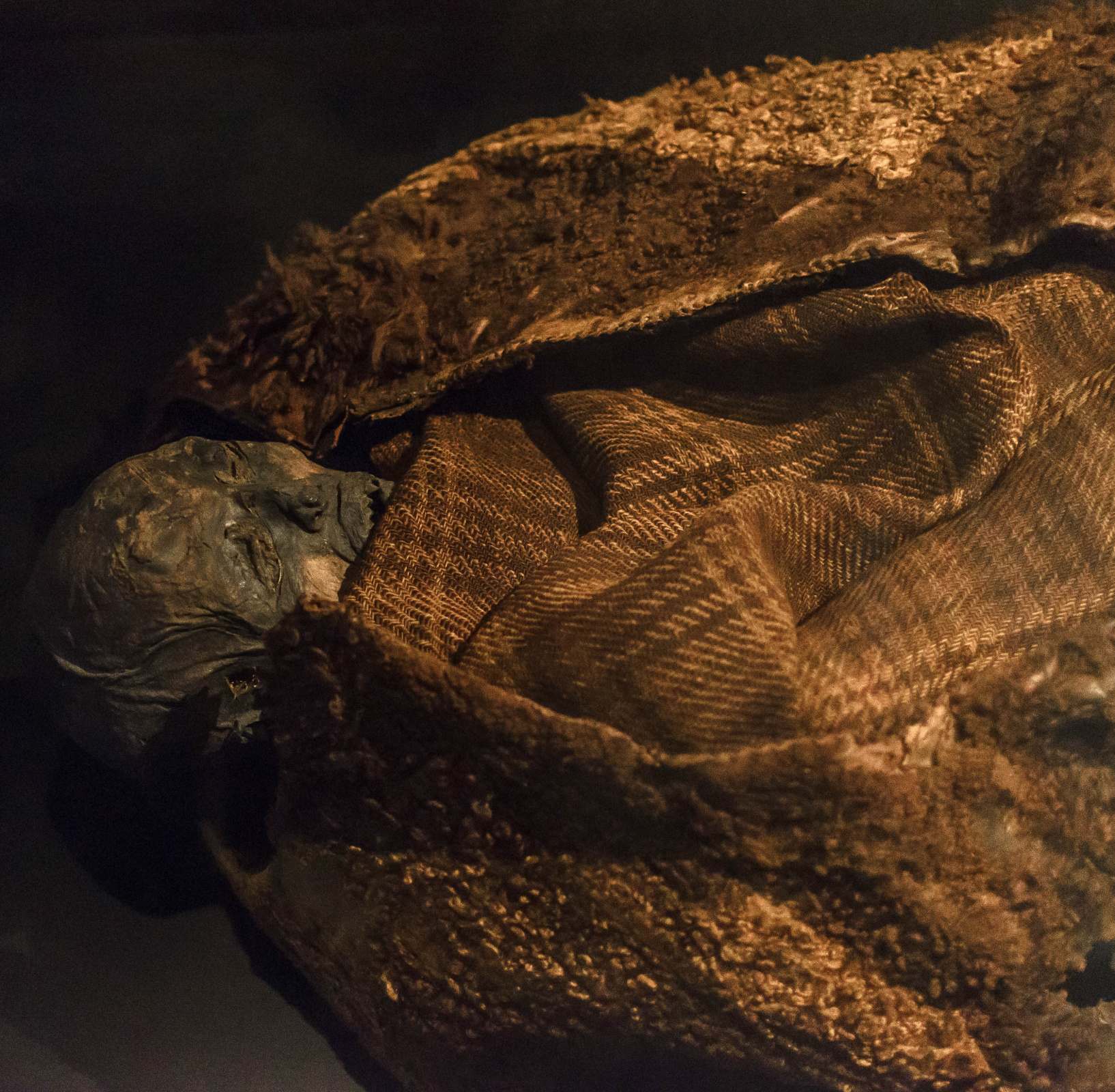 Mujer Huldremose en exhibición en el Museo Nacional de Dinamarca
