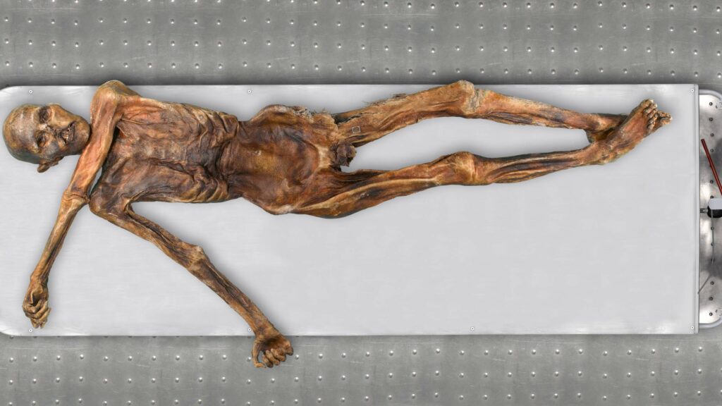 Ötzi: Genome ea Iceman joale e senola letlalo le lefifi, lefatla le leloko la Anatolian 8
