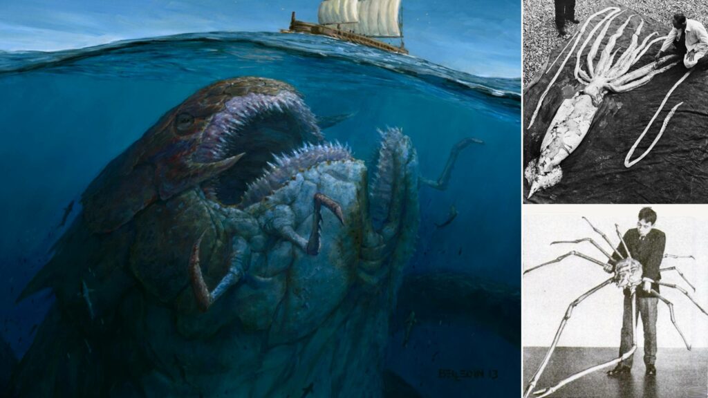 El gigantismo polar y el gigantismo paleozoico no son equivalentes: ¿seres monstruosos que acechan bajo las profundidades del océano? 3