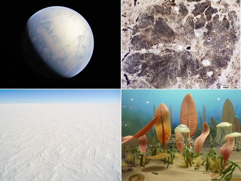 Zľava doprava: Štyri hlavné proterozoické udalosti: Veľká oxidácia a následné hurónske zaľadnenie; Prvé eukaryoty, ako červené riasy; Snehová guľa Zem v kryogénnom období; Ediakarská biota