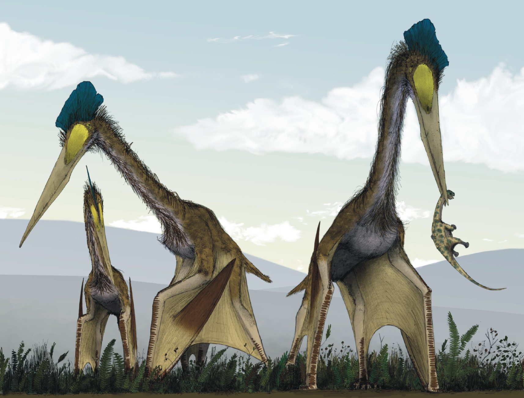 Dünya tarihinin en büyük uçan hayvanı olduğu düşünülen Quetzalcoatlus'un kanat açıklığı 35 feet idi. Maksimum menzili 80 ila 7 mil arasında olmak üzere 10 feet yükseklikte 15,000 ila 8,000 gün boyunca saatte 12,000 mil hızla uçabiliyordu.