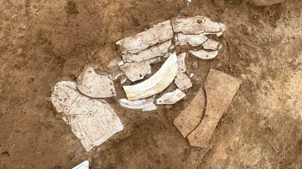 Prachtige neolithische schelpdraak opgegraven in Binnen-Mongolië 5