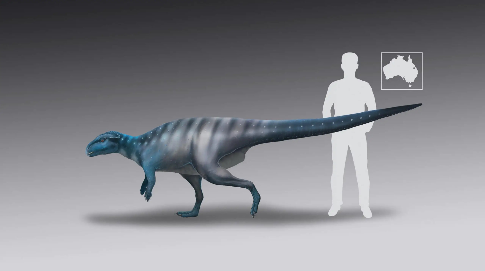 Il s'agit d'une reconstitution de la vie du traceur de dinosaures vieux de 200 millions d'années du mont Morgan. Crédit : Dr Anthony Romilio